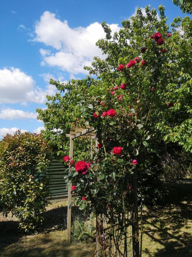 Apartmán La Bastide Des Sources Beaucaire  Exteriér fotografie